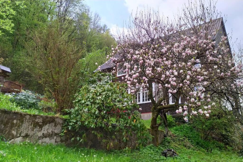 Haus am Wald Zorge 16+ Gäste Walkenried Exterior foto