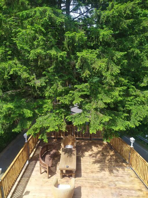 Haus am Wald Zorge 16+ Gäste Walkenried Exterior foto