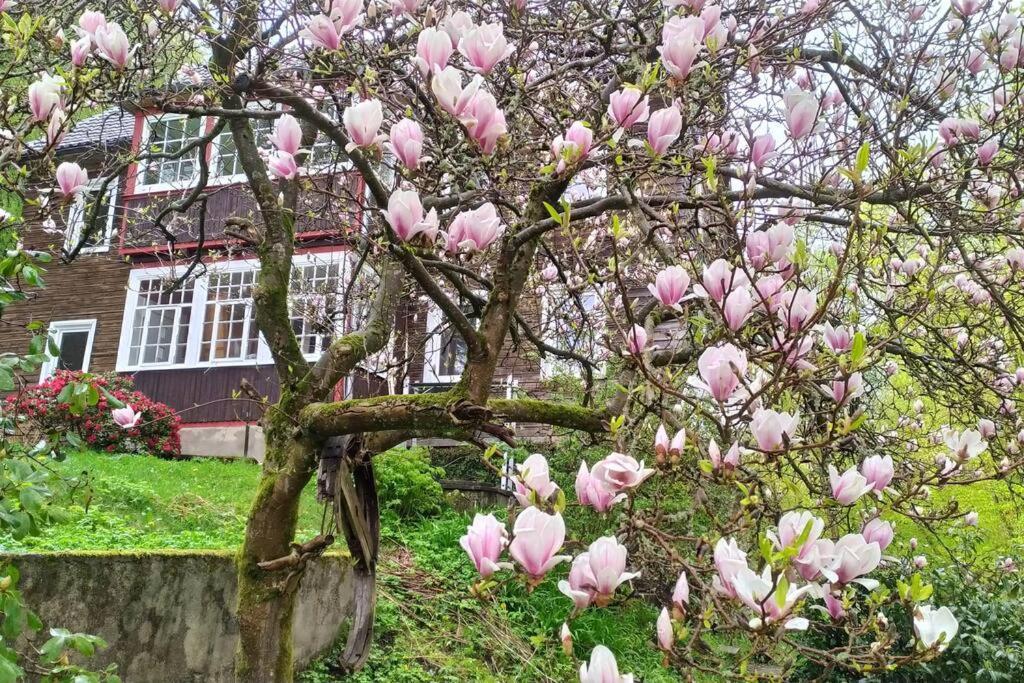 Haus am Wald Zorge 16+ Gäste Walkenried Exterior foto