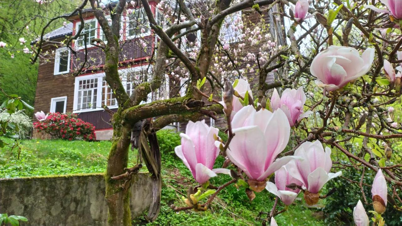 Haus am Wald Zorge 16+ Gäste Walkenried Exterior foto